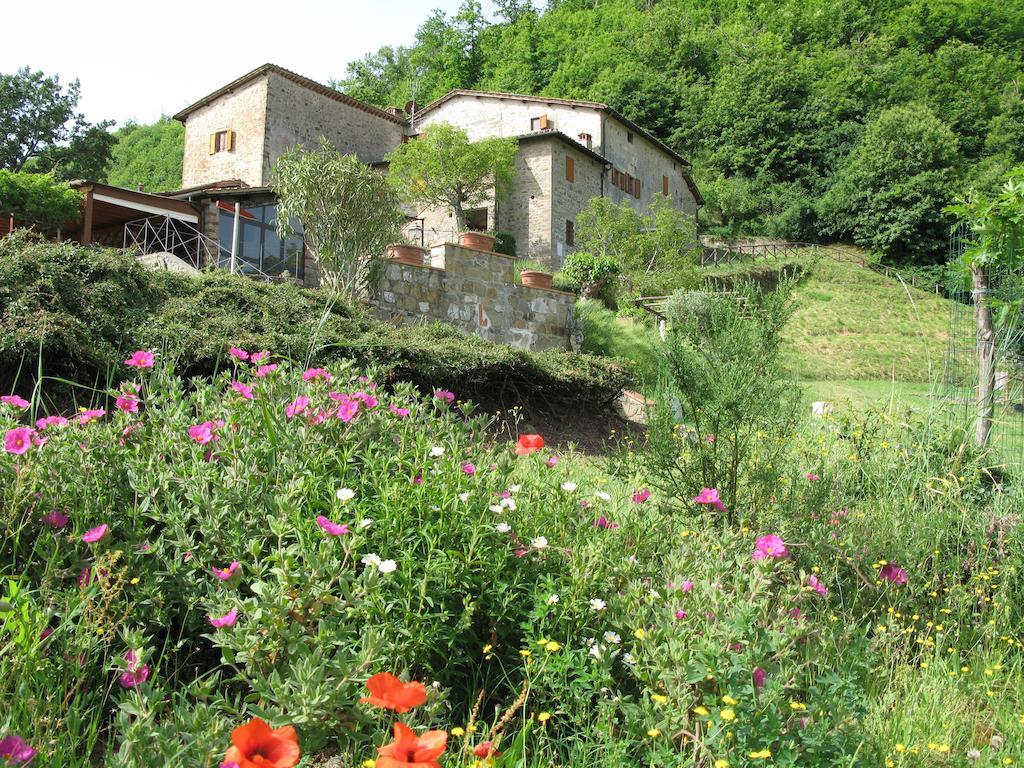 La Ghiandaia Casa Vacanza 루콜레나 인 키안티 외부 사진